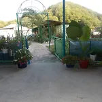 Rechnaya 11 , Сад Чудес