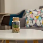 Christina'S Studio Suite