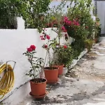 Old Town Diamond