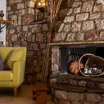 Petrino Eco Conscious Living