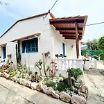 Cactus Living