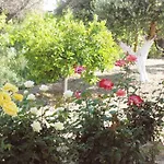 Nadia'S House 1