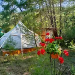 Vinsan Glamping & Wellness Centre