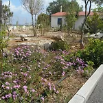 Mandorla Apartments