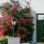 Beachfront Villa Rhodes Seashell