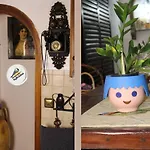 Popis Maison