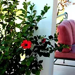 Villa Cleoboulos