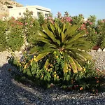 Villa Anna