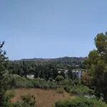 The Cypress Valley