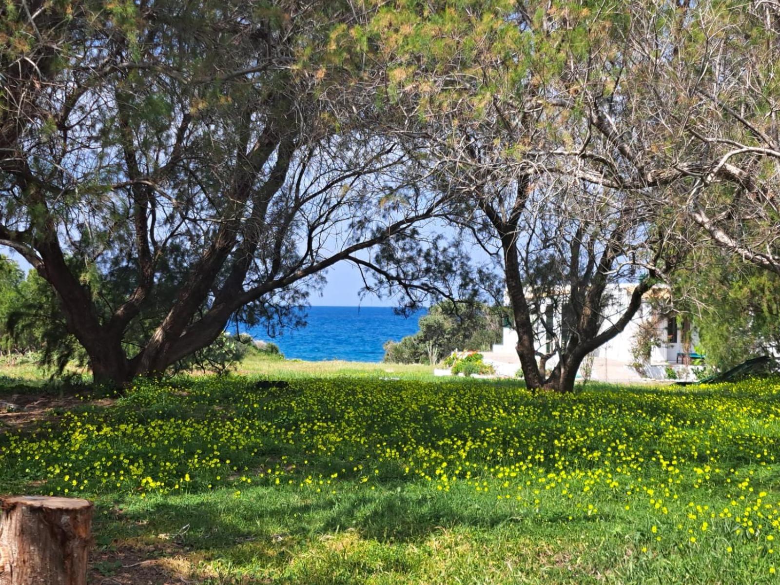 Διαμέρισμα Arancio Independent In Ecovilla On The Απολακκιά