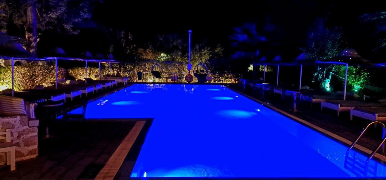 מלון דירות Pine Trees Art איקסיה